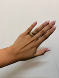 Fish ring